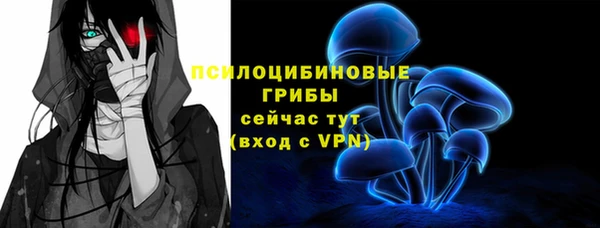 прущая мука Алзамай
