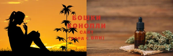 прущие грибы Алексеевка