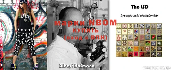 прущие грибы Алексеевка