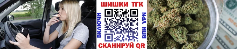 МЕГА Новороссийск Конопля ГИДРОПОН где купить наркотик